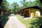 piazzole