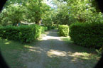 piazzole